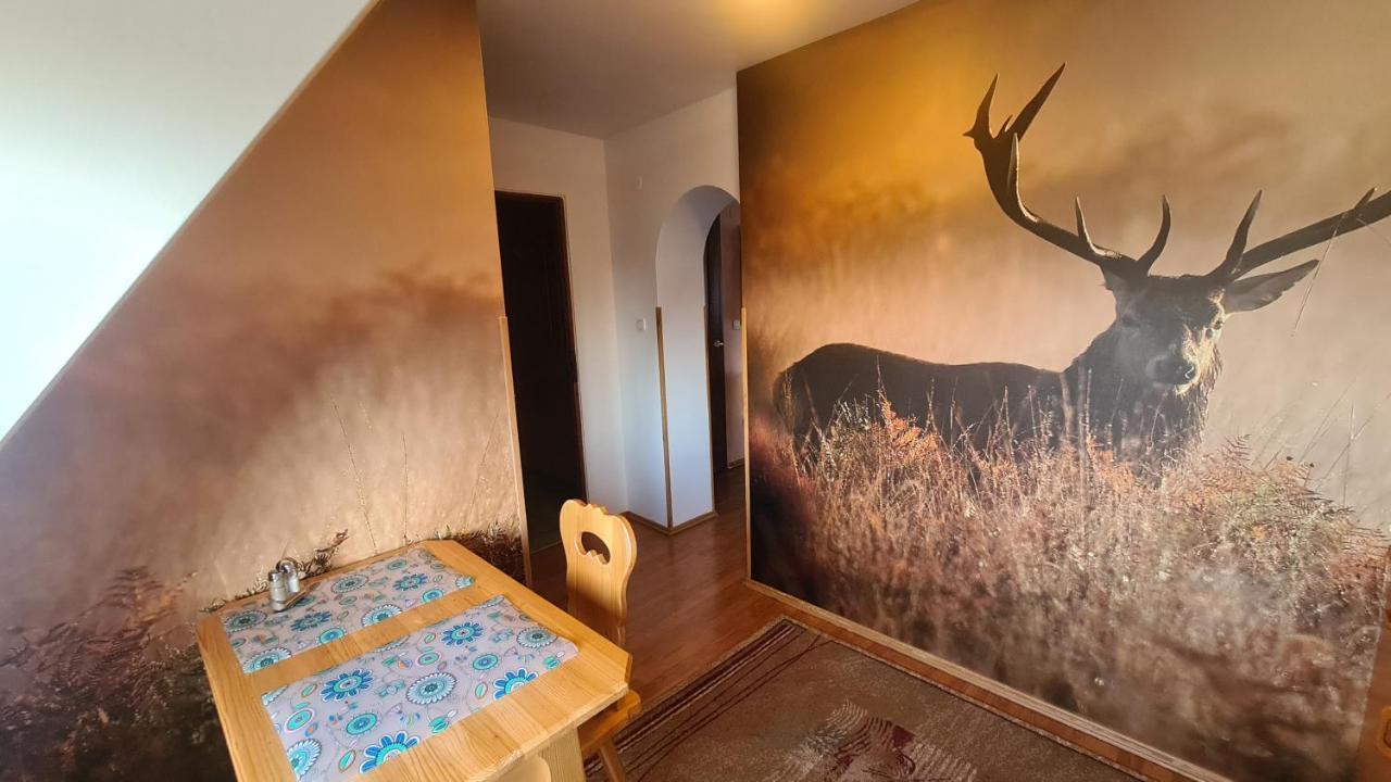 Wynajem Pokoi Magdalena Apartment ซาโกปาเน ภายนอก รูปภาพ